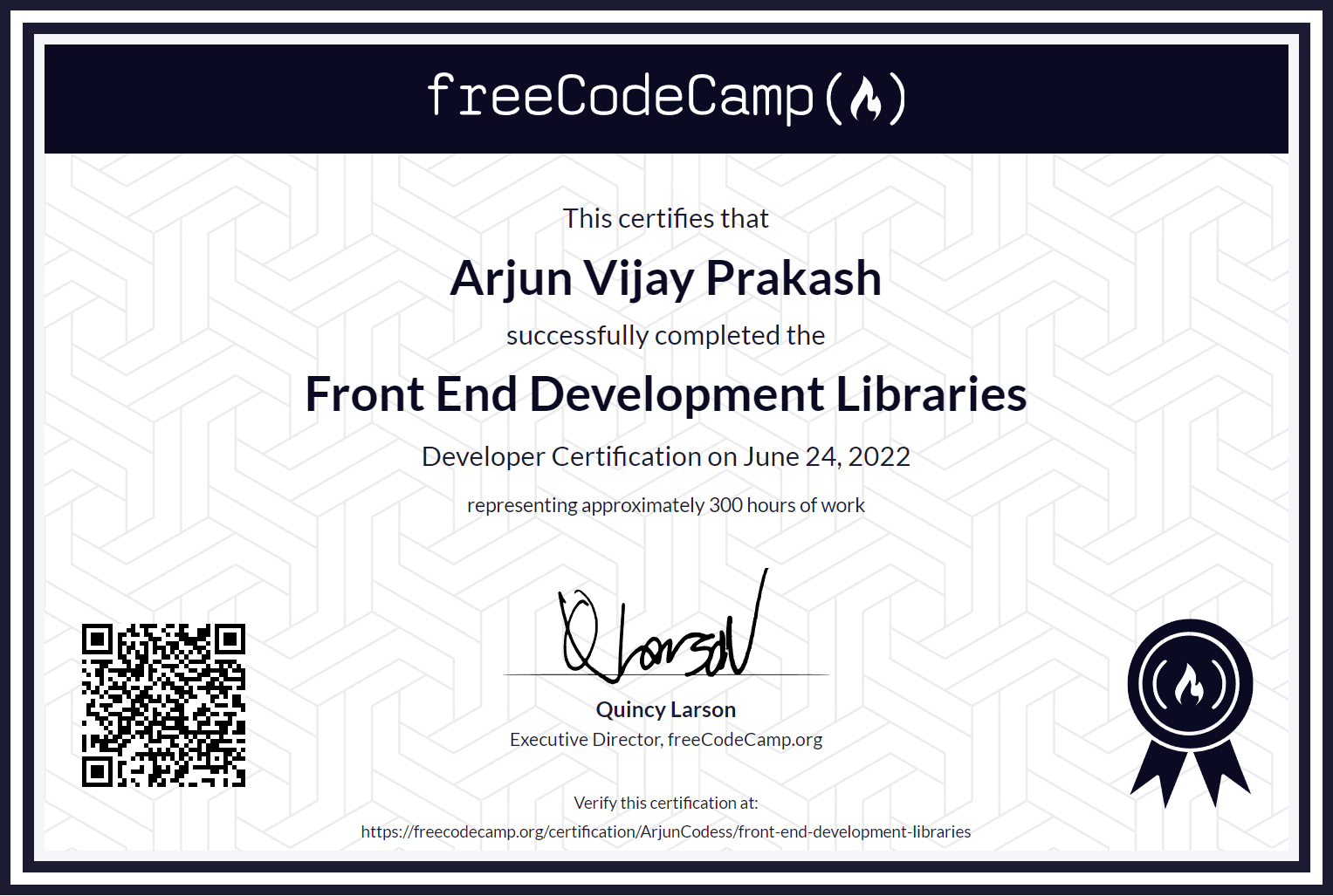 freeCodeCamp Professional Certificate 1