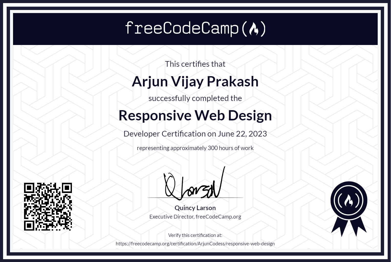 freeCodeCamp Professional Certificate 3